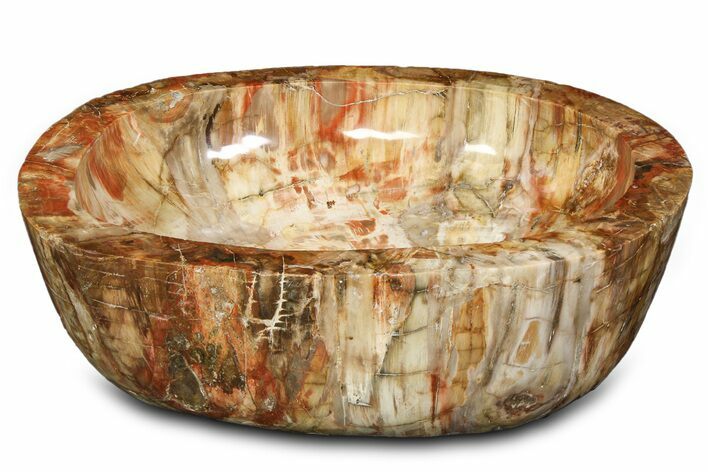 Polished Petrified Wood Bowl ( lbs) - Madagascar #317039